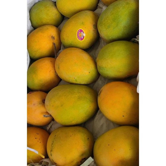 Mango (Alphonso)
